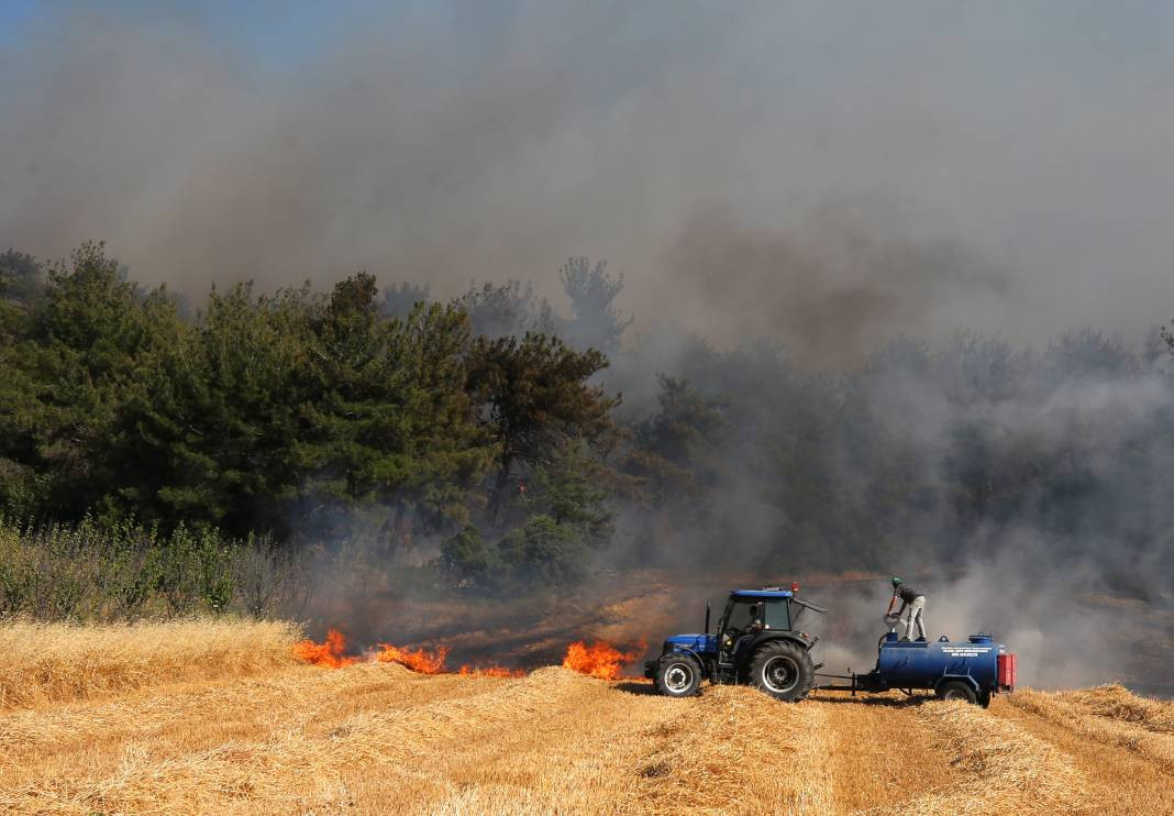Çanakkale'deki Tarihi Alan'ın güney hattı ziyarete açıldı! Orman yangınında kapatılmıştı - Resim: 67